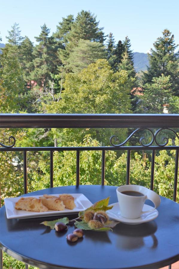 Hotel Dryades Elati  Bagian luar foto