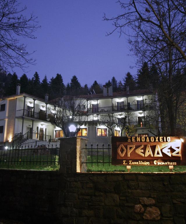 Hotel Dryades Elati  Bagian luar foto