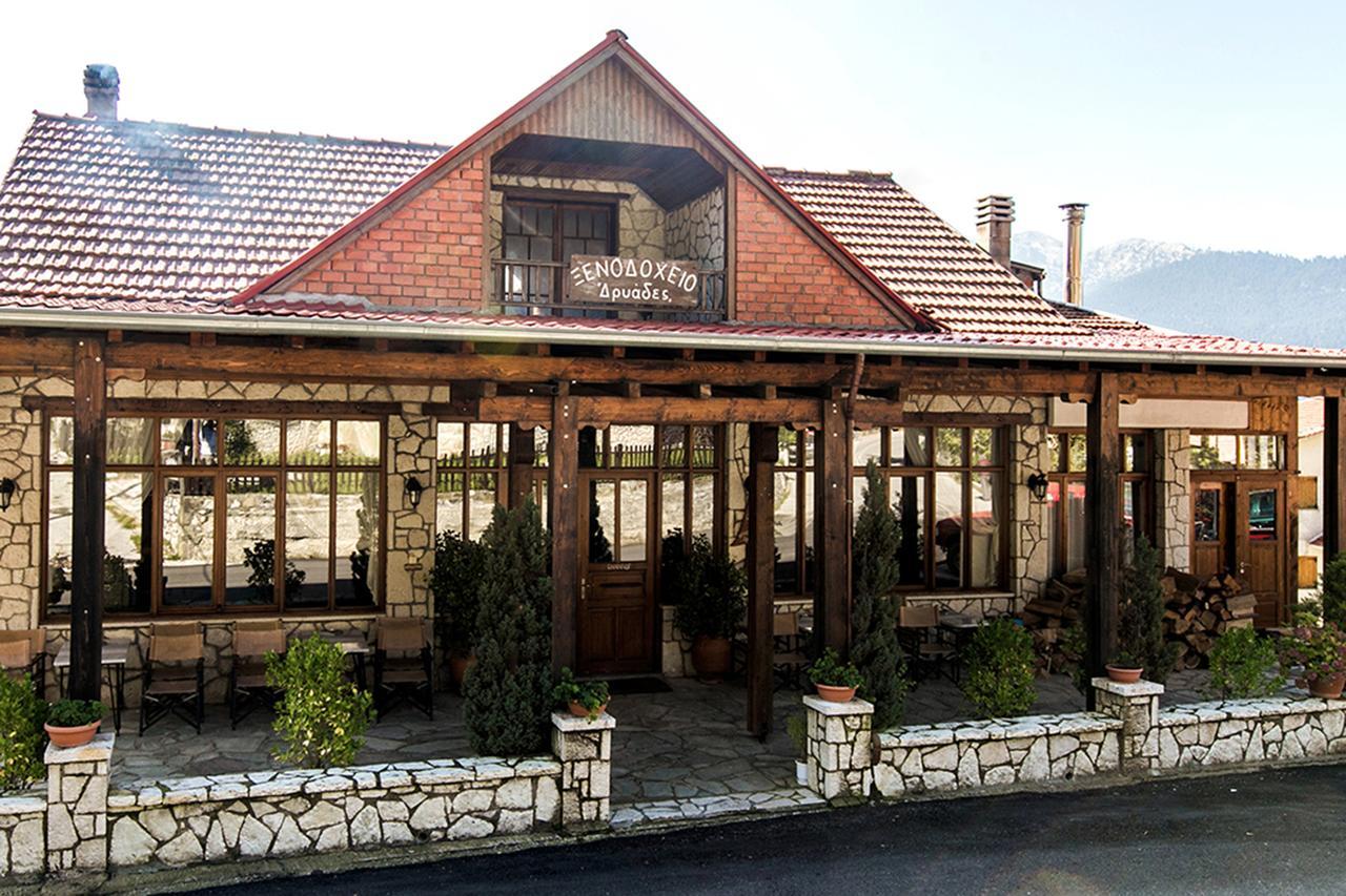 Hotel Dryades Elati  Bagian luar foto